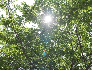 20100101kakopic11.jpg