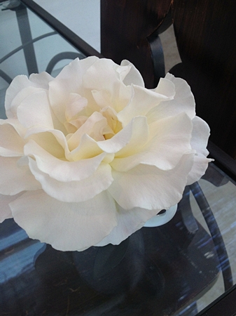 20130609p33.jpg