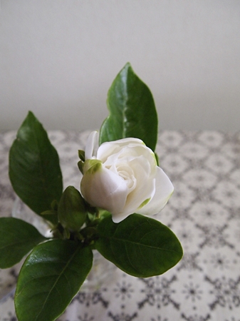 20130630p11.JPG