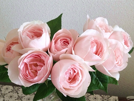 20130719p11.jpg