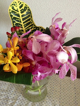 20130818p11.jpg