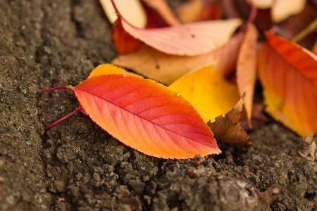 20131110p11.jpg
