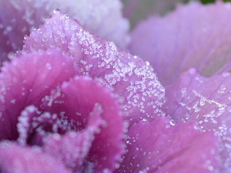 20140208p11.jpg
