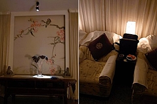 20090726store11cats.jpg