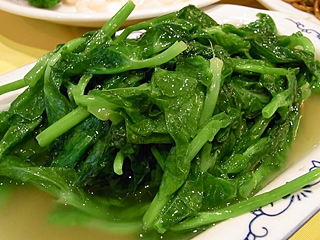 20090826shanhai31919.jpg
