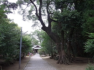 20091215pic1414.jpg