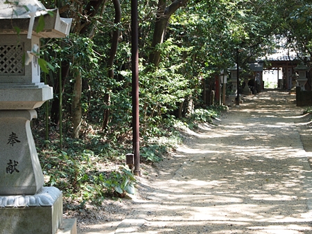 20100825kumano1010.jpg