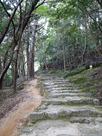 20100825kumano3737.jpg