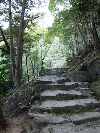 20100825kumano3939.jpg