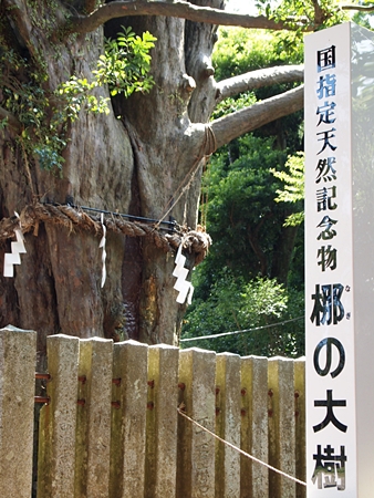 20100825kumano4747.jpg