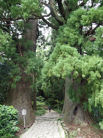 20100826kumano44.jpg