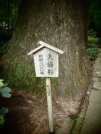 20100826kumano46.jpg