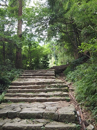 20100826kumano51.jpg