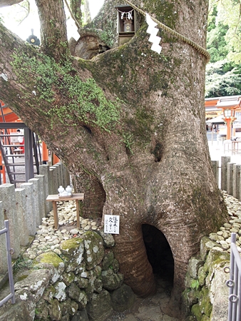 20100826kumano8.jpg