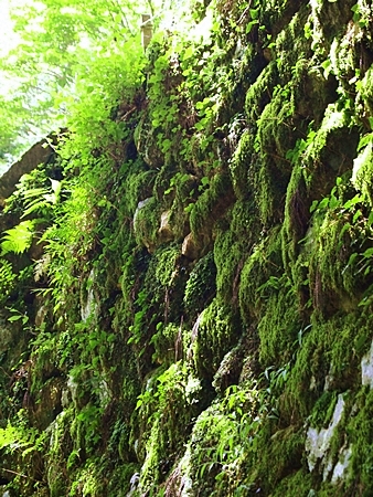 20100827kumano92.jpg