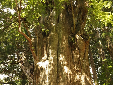 20100827kumano93.jpg