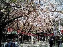 060406_mishima123