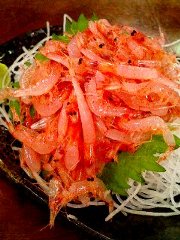 060406_sakuraebi1