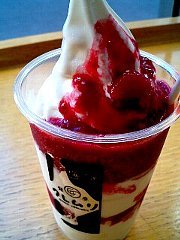 060814_ice2