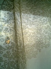 070108_nuno1