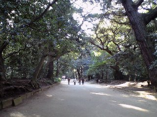 080212kashima8