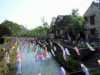 080506tochigi1111