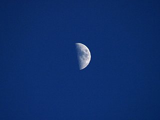 080729pic1