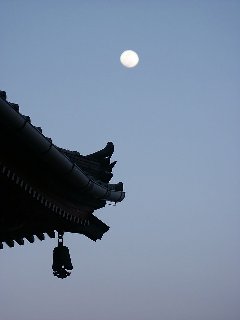 080914pic11