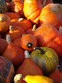 081026food11