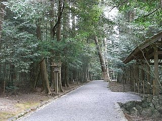 090213瀧原宮参道111