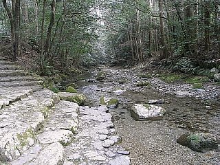 090213瀧原宮手洗場333