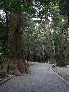 090213内宮参道11