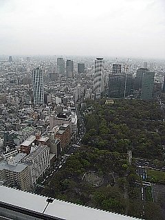 20090415sweets1313.jpg