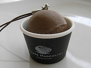 20090418pierre44.jpg