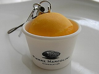20090418pierre55.jpg