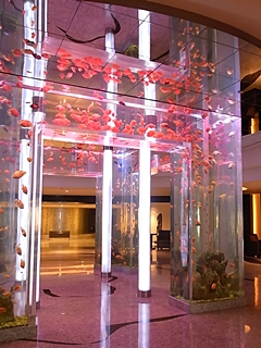 20090826shanhai31818.jpg