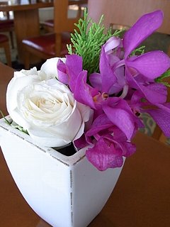 20090826shanhaihana222.jpg