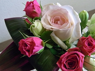 20091114HANA11.jpg