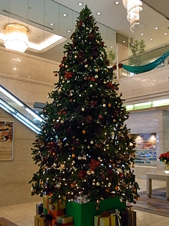 20091220pic11.jpg