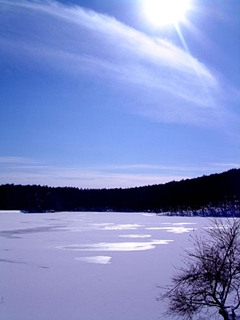 20091231pic11.jpg