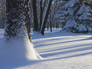 20100110pic11.jpg