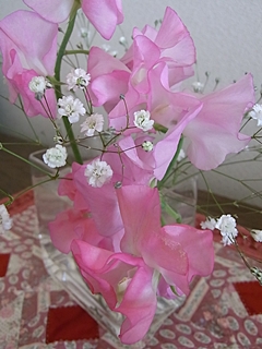20100130hana11.jpg