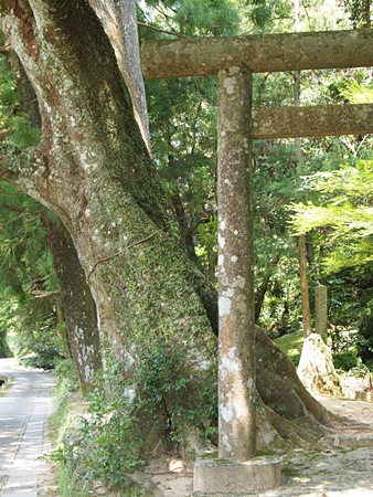 20100825kumano2424.jpg
