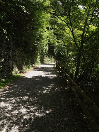 20100827kumano49.jpg