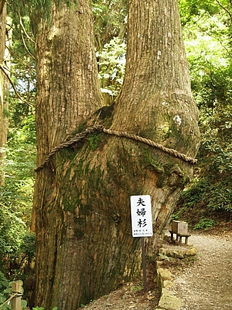 20100827kumano65.jpg
