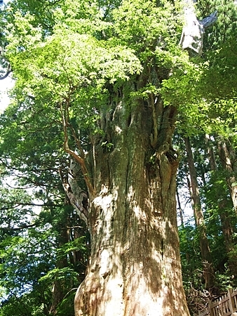 20100827kumano67.jpg