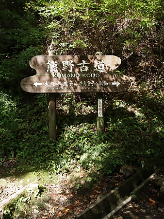 20100828kumano16.jpg