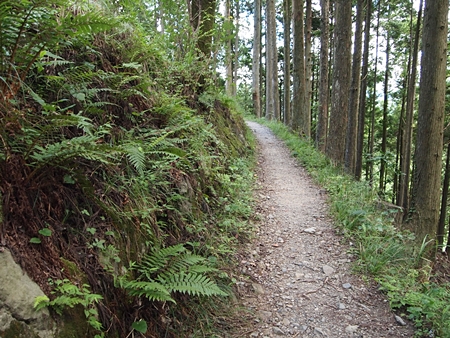 20100828kumano18.jpg