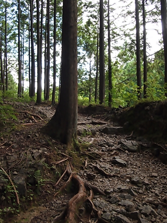 20100828kumano181.jpg