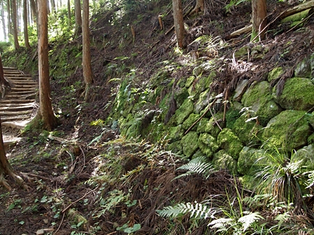 20100828kumano184.jpg